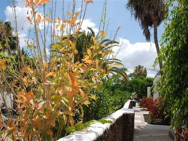 Daire Guacimeta Apartamentos Puerto del Carmen
